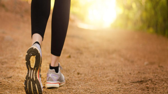 Manfaat Jalan Pagi Bagi Kesehatan Jantung Lansia Panduan Lengkap Untuk Hidup Lebih Sehat