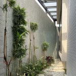 Menjelajahi Dunia Hijau Panduan Lengkap Cara Membuat Taman Vertikal Di Lahan Sempit