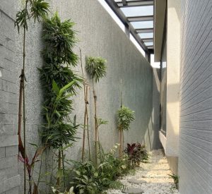 Menjelajahi Dunia Hijau Panduan Lengkap Cara Membuat Taman Vertikal Di Lahan Sempit