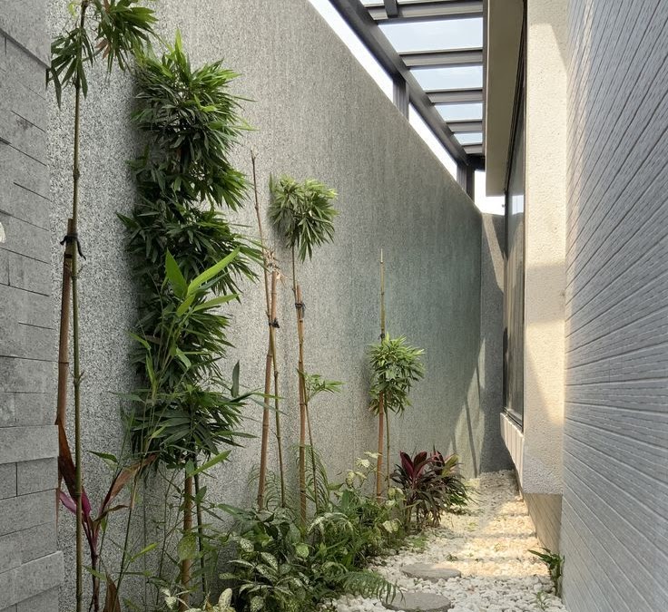 Menjelajahi Dunia Hijau Panduan Lengkap Cara Membuat Taman Vertikal Di Lahan Sempit