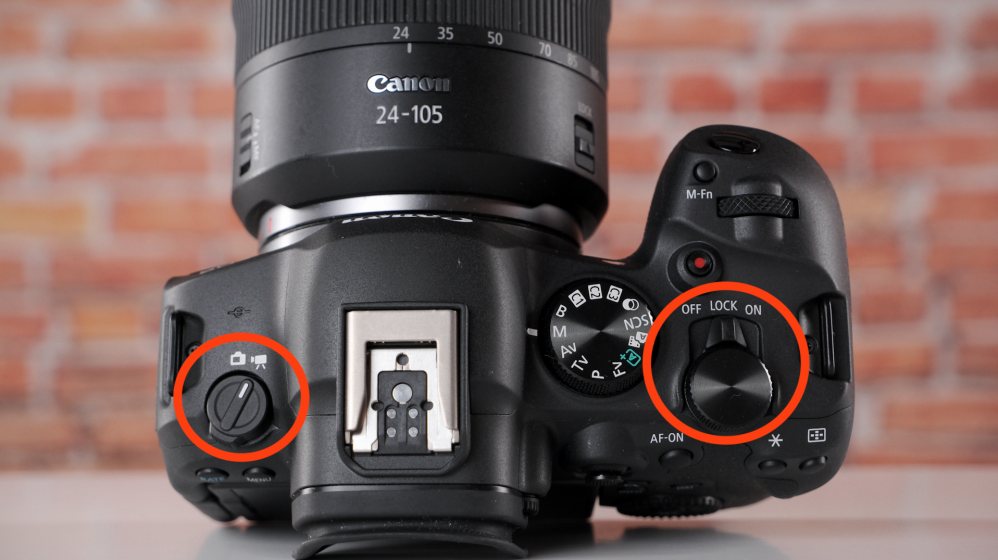 Cara Menggunakan Fitur Animal Eye Af Di Canon Eos R6 Untuk Hasil Foto Tajam