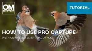 Panduan Lengkap Cara Menggunakan Fitur Pro Capture Di Om System Om 1 Mark Ii