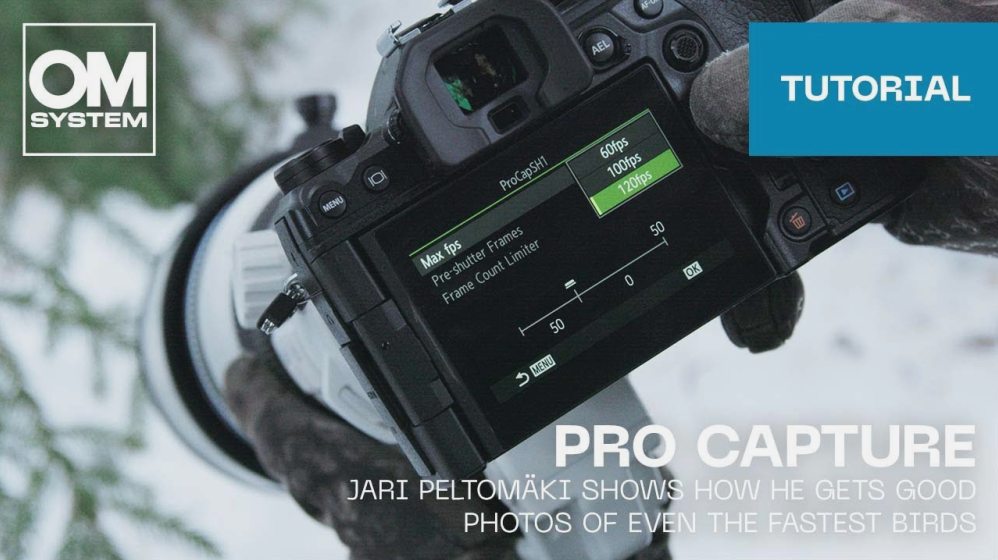 Panduan Lengkap Cara Menggunakan Fitur Pro Capture Di Om System Om 1 Untuk Fotografi Aksi